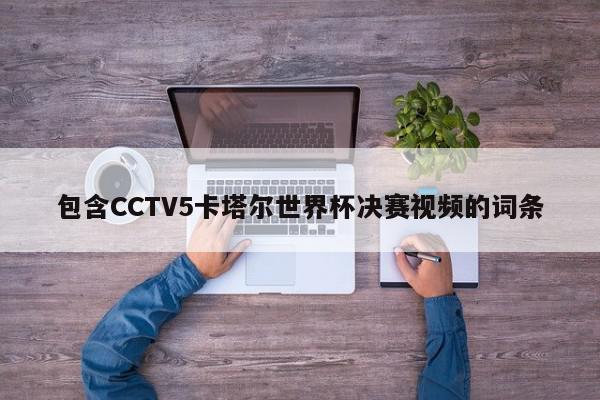 包含CCTV5卡塔尔世界杯决赛视频的词条