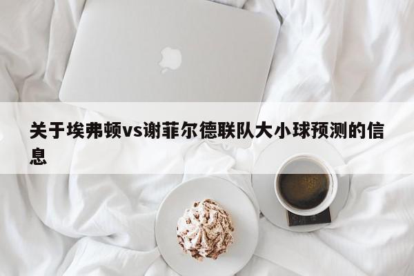 关于埃弗顿vs谢菲尔德联队大小球预测的信息