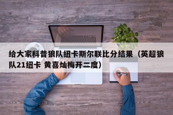 给大家科普狼队纽卡斯尔联比分结果（英超狼队21纽卡 黄喜灿梅开二度）