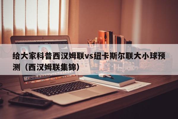 给大家科普西汉姆联vs纽卡斯尔联大小球预测（西汉姆联集锦）