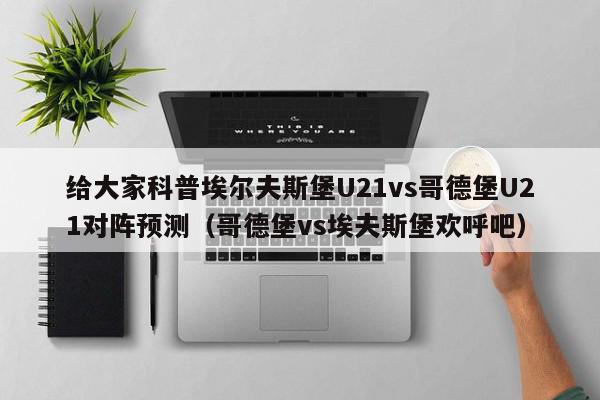 给大家科普埃尔夫斯堡U21vs哥德堡U21对阵预测（哥德堡vs埃夫斯堡欢呼吧）